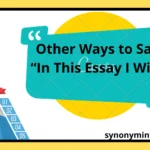 Other Ways to Say “In This Essay I Will