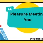 Pleasure Meeting You