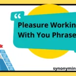 Pleasure Working With You Phrases