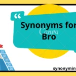 Synonyms for Bro