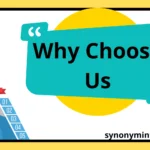 Why Choose Us