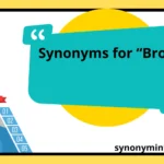 Synonyms for “Bro”