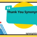 Thank You Synonyms
