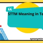 STTM Meaning in Text